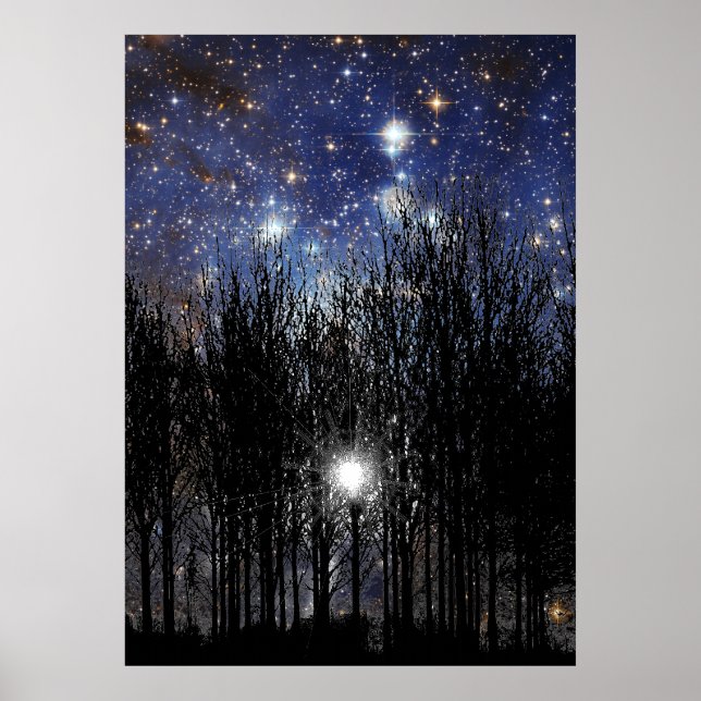 Starscape & Trees - Poster (Vorne)