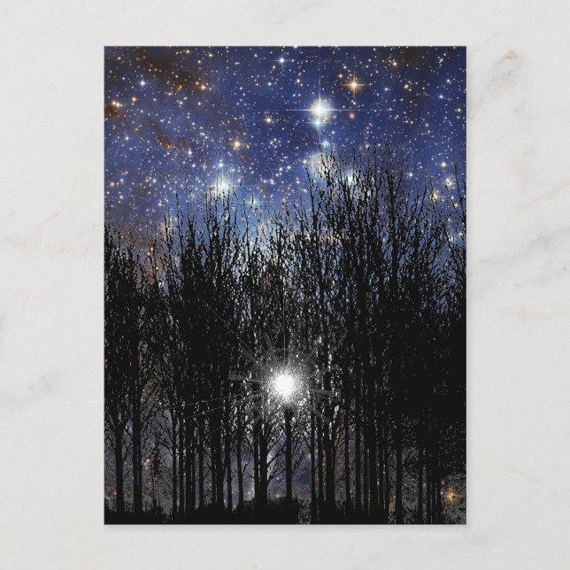 Starscape & Trees - Postkarte (Vorderseite)