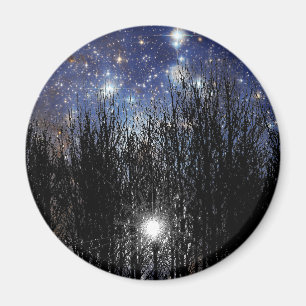 Starscape u. Bäume - Magnet #2