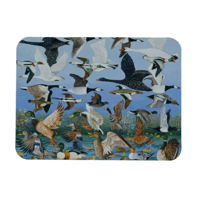 Start 1996 magnet (Horizontal)