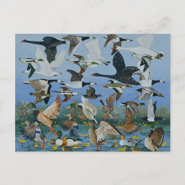 Start 1996 postkarte (Vorderseite)