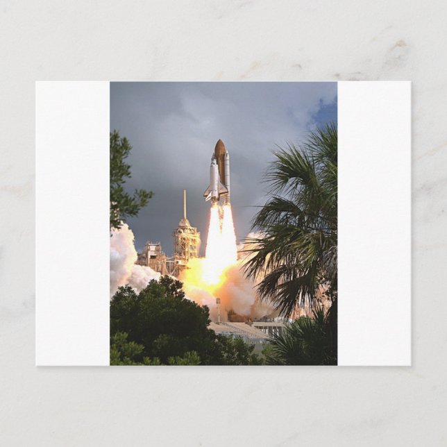 Start mit Palmen Postkarte (Vorderseite)