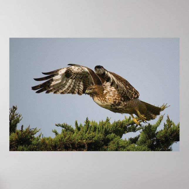 Start Poster (Vorne)