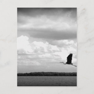 Start Postkarte