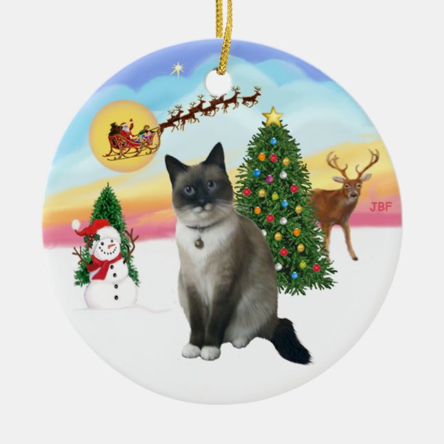 Start - Schneekatze Keramik Ornament (Vorne)