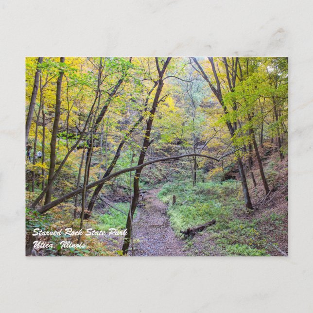 Started Rock Postcard Postkarte (Vorderseite)