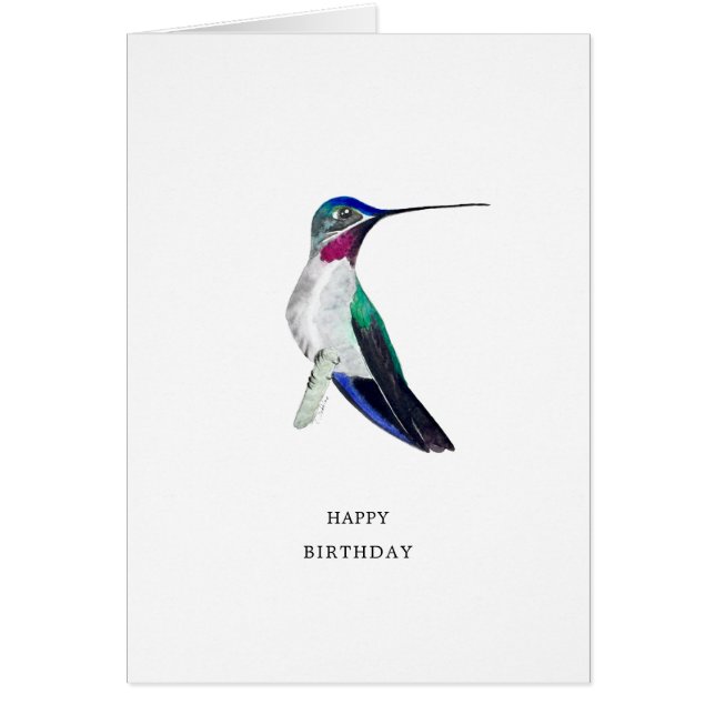 Starthroat Hummingbird Birthday Card (Vorne)