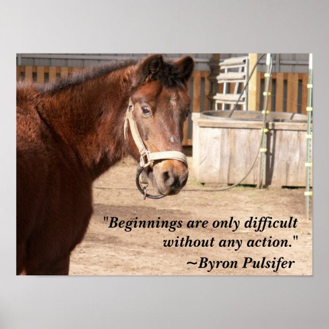 Startplakat Poster (Vorne)