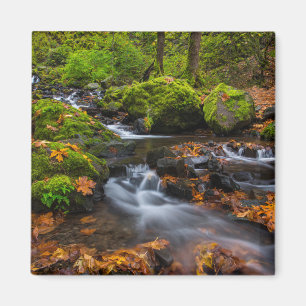 Starvation Creek Falls   Columbia Gorge, Oregon Magnet