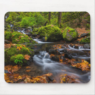 Starvation Creek Falls Columbia Gorge, Oregon Mousepad