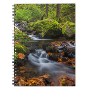 Starvation Creek Falls   Columbia Gorge, Oregon Notizblock