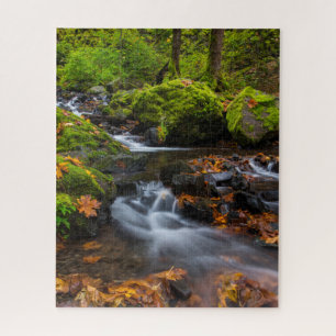 Starvation Creek Falls Columbia Gorge, Oregon Puzzle
