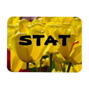STAT Magnete Krankenpflege Medizin Tulpe Magnet Bl