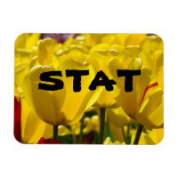 STAT Magnete Pflegemedizin Tulip Magnet Floral