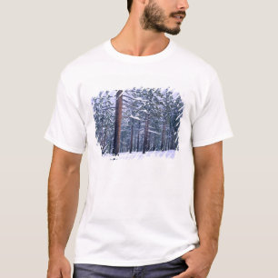 STATE PARK LAKE TAHOE, NEVADA. USA. Frischer Schne T-Shirt