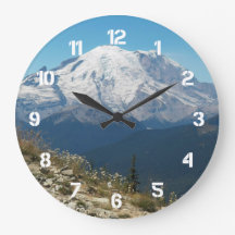 Stated Mount Rainier Landschaft