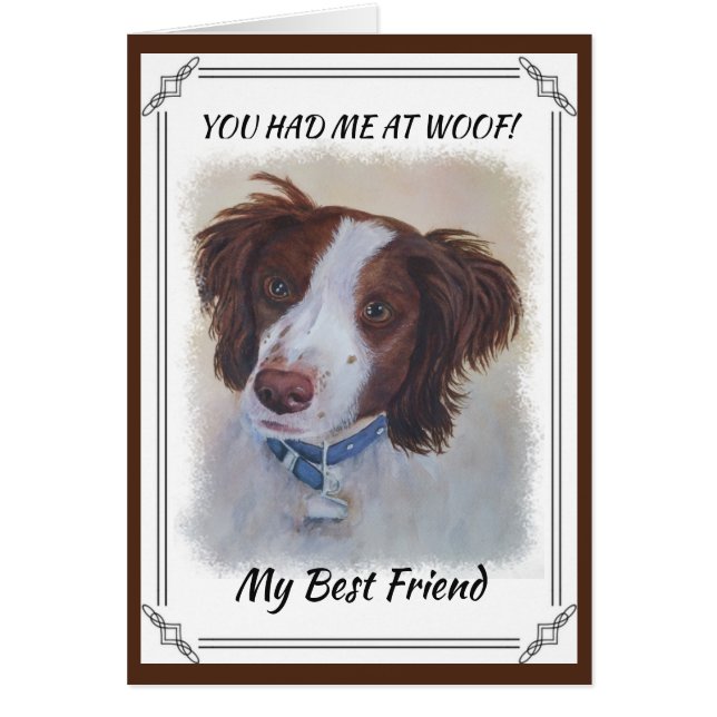 STATELLE AUBURN SETTER MIX (Vorne)