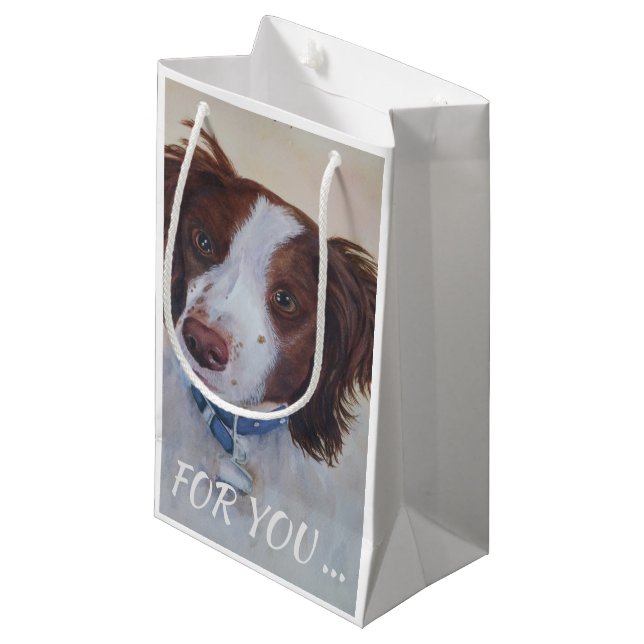 STATELLE AUBURN SETTER MIX KLEINE GESCHENKTÜTE (Vorderseite Schrägansicht)