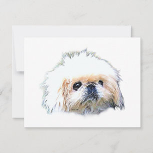 Stationäre, leere Mitteilungskarten mit Marcus