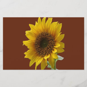 Stationäre Papiersonnenblume Briefpapier