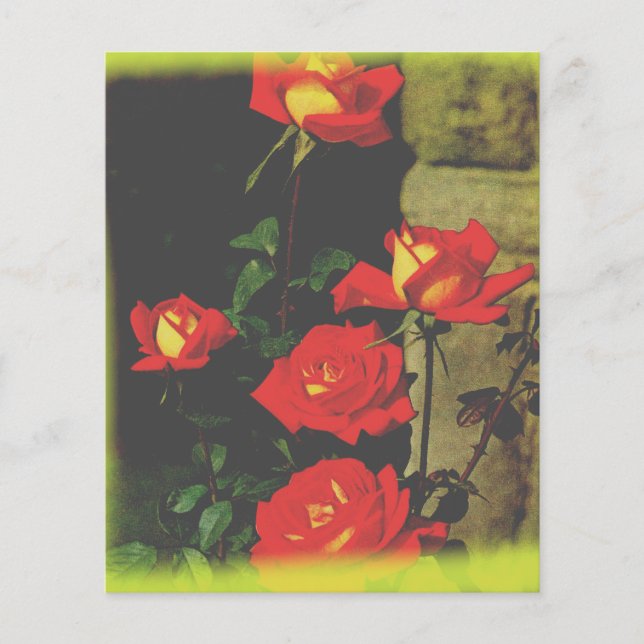 Stationäre Rose (Vorderseite)