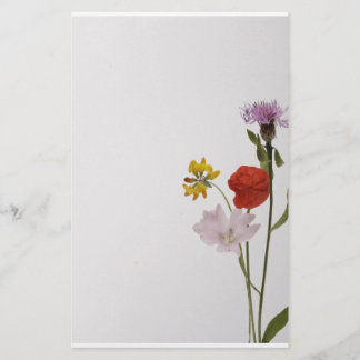 Stationery colorful flowers briefpapier