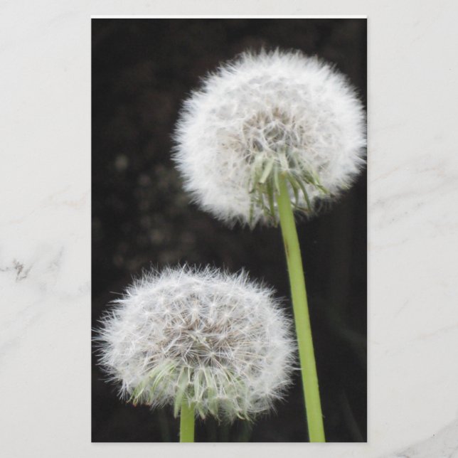 Stationery - Lüster Briefpapier (Vorderseite)