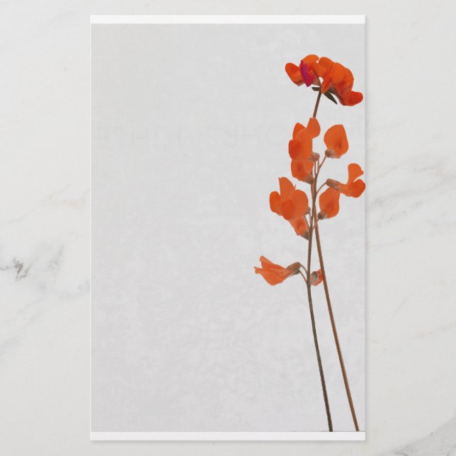 Stationery red flowers briefpapier (Vorderseite)