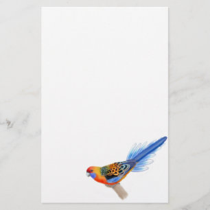 Stationierung Adelaide Rosella Parrot Briefpapier