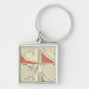 Statistiken für Sonderschulen Schlüsselanhänger