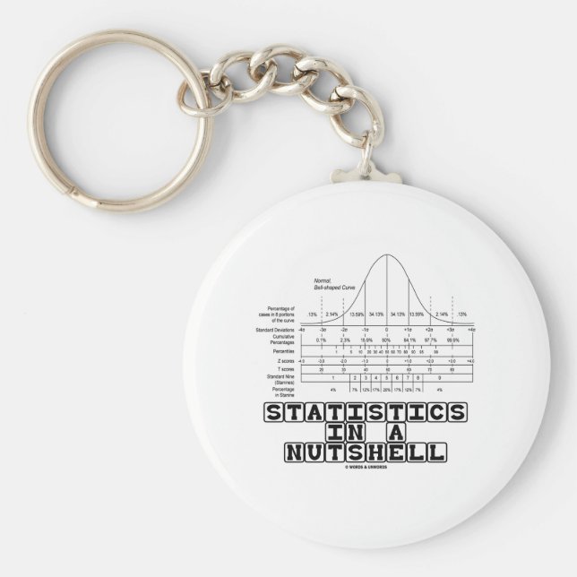 Statistiken in einer Unterlage (Statistisches Date Schlüsselanhänger (Vorne)