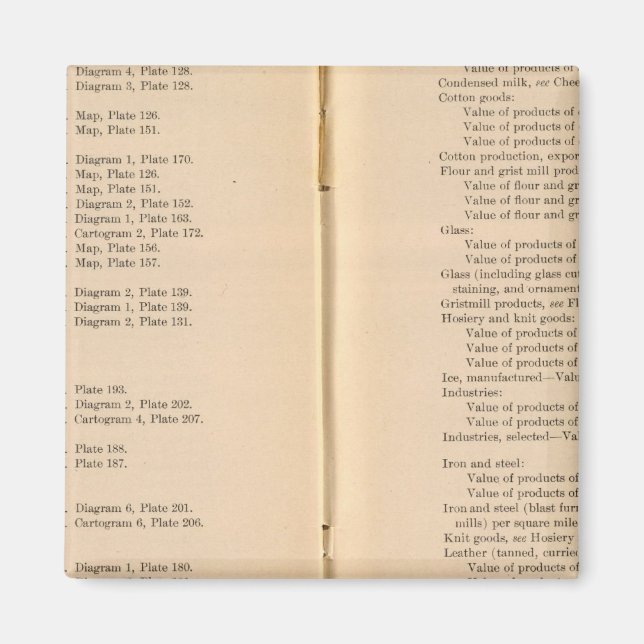 Statistischer Atlas 1900 9 Magnet (Vorne)