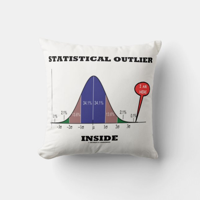 Statistisches Außenseiter-Innere Kissen (Vorderseite)