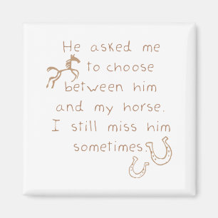 Stattdessen Behielt das Pferd Magnet