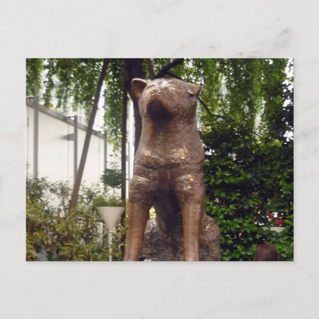 Statue hachiko shibuya postkarte (Vorderseite)