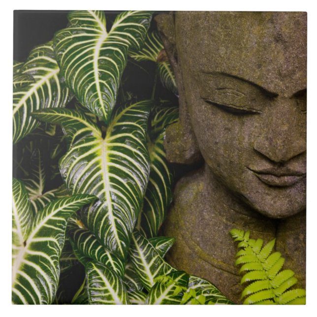 Statue in Garten-Standortinformationen: Chiang MA Fliese (Vorderseite)