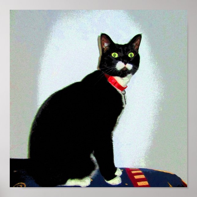 Statue Lucy Poster (Vorne)