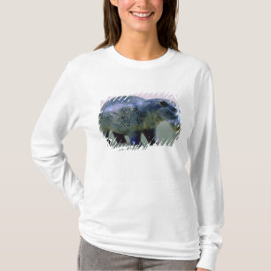 Statuette eines Hippopotamus T-Shirt