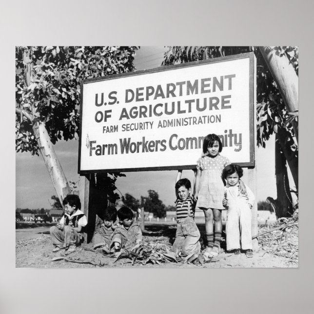 Staubabwes Poster (Vorne)