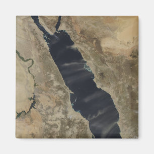 Staubfedern über dem Roten Meer Magnet