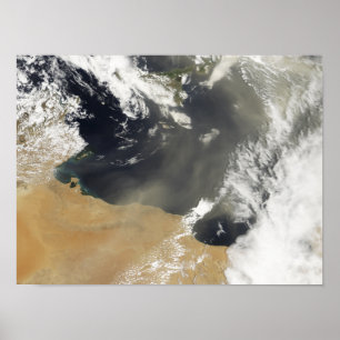 Staubfedern, welche die afrikanische Nordküste Poster