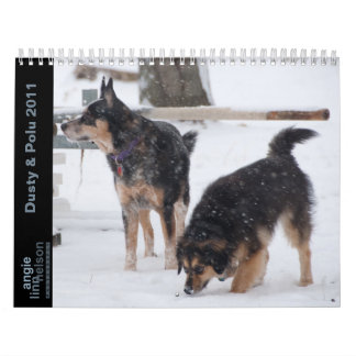Staubig u. Polu 2011 Kalender