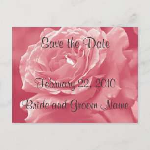 Staubige Rosa-Rosen-Save-the-Date-Postkarte Ankündigungspostkarte