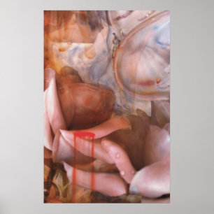 staubiges Rosenplakat Poster