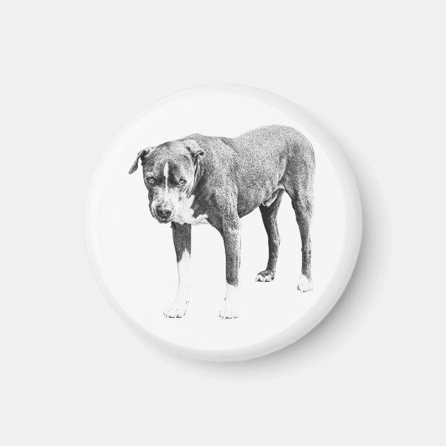 Steady-Gaze-Kühlschrankmagnet Magnet (Vorne)