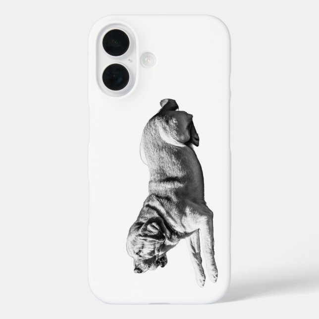 Steady Gaze - Labrador Pose Case-Mate iPhone Hülle (Rückseite)