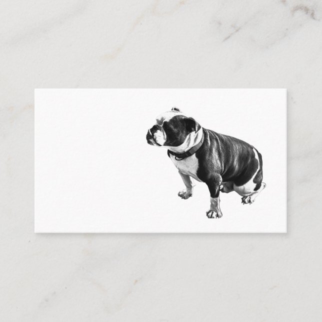 Steady Without Hurry Visitenkarte (Vorderseite)