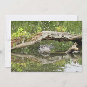 Stealth Alligator-Flachkarte