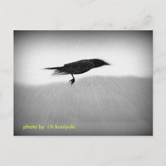 Stealth Crow Postkarte (Vorderseite)