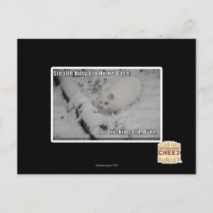Stealth Kitty 1 Postkarte